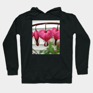 Bleeding Hearts Hoodie